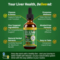 Rejuvica Health VitaLiver | Liver Cleanse & Detox Drops | Milk Thistle, Artichoke, Chanca Piedra & Dandelion Extract | Fatty Liver Support Repair