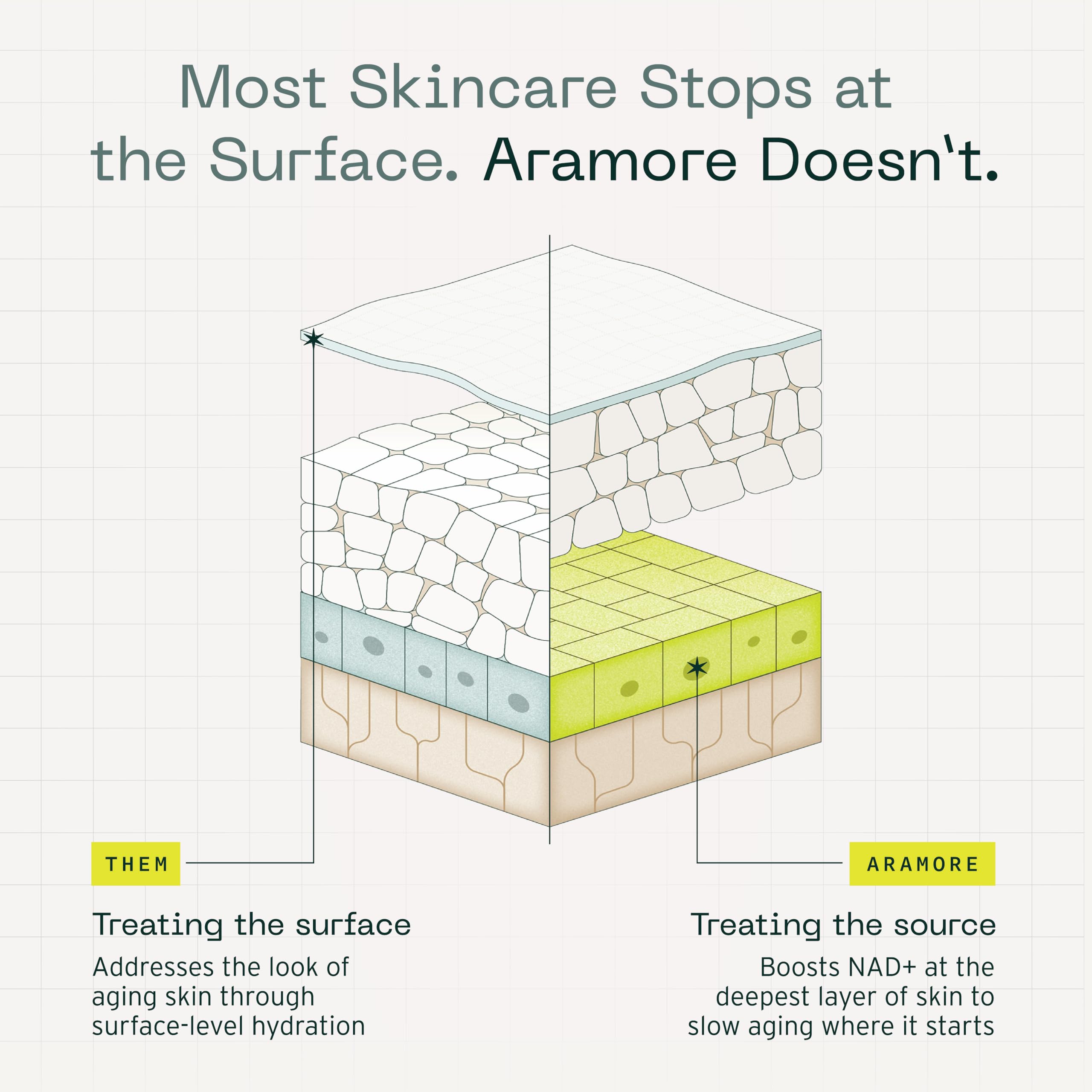 Aramore NAD+ Cell Energizing Skin Care Treatment with Proprietary NAD+ Precursor Complex, Clinically Proven to Target 12 Signs of Aging - 15ml AramoreBuy Supplements Australia