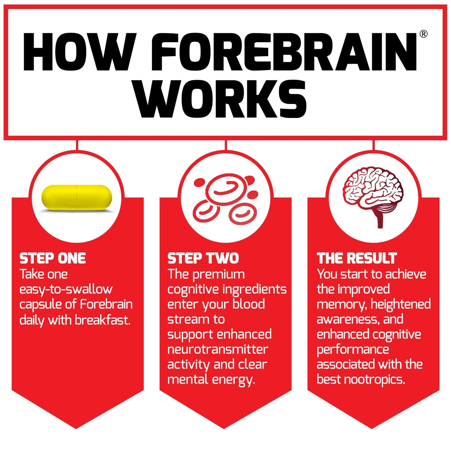 Force Factor Forebrain Nootropic Brain Supplement with Caffeine Bacopa and Huperzine A Capsules 3Pack, White, 90 Count Force Factor buy supplements Au
