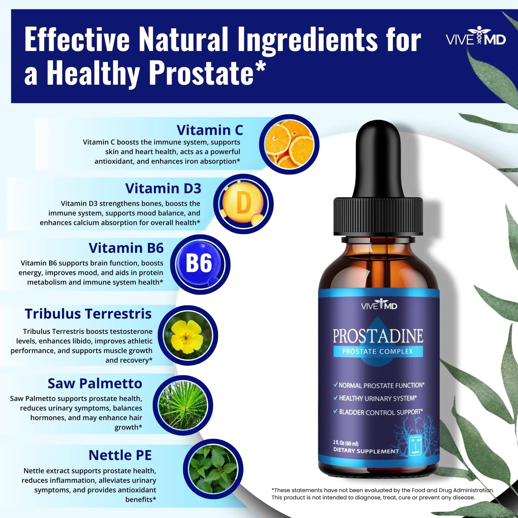 VIVE MD Prostadine Drops for Prostate Health, Bladder Urinating Issues - Prostadine Official Drop Formula - Extra Strength with Pomegranate, Prostadine Reviews (Package of 1) VIVE MDBuy Supplements Australia