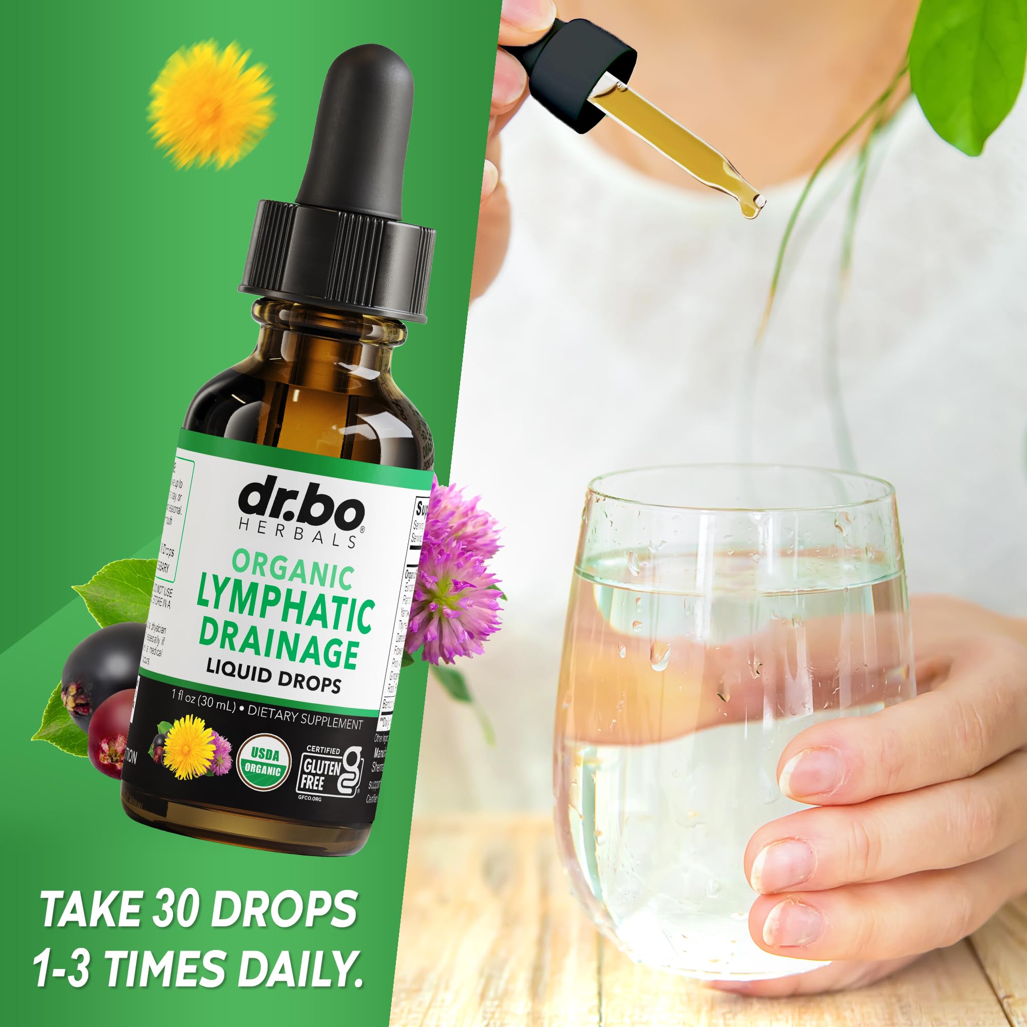 Lymphatic Drainage Supplements Drops - Organic Lymphatic Support Liquid Drops Cleanse with Echinacea, Lymph System Support Supplement, Lymph Node Detox Cleanse System Drainage - 1oz Non-GMO Organics DR. BO buy supplements Au