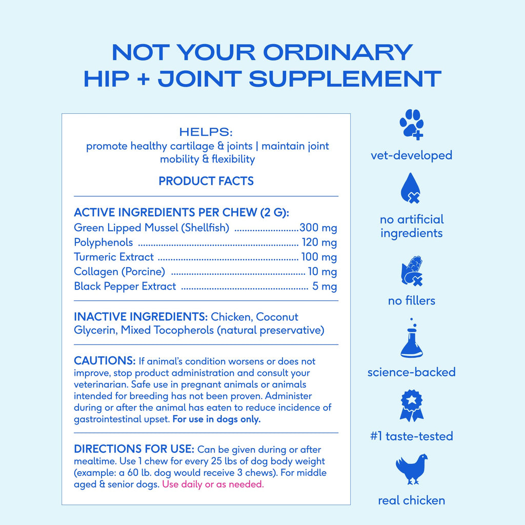 Native Pet Inflammatory Care - Pain Relief for Dogs - Green-Lipped Mussel, Turmeric & Collagen for Dogs - Hip and Joint Supplement Supports Healthy Inflammatory Response & Joint Comfort - 60 Chews Native PetBuy Supplements Australia