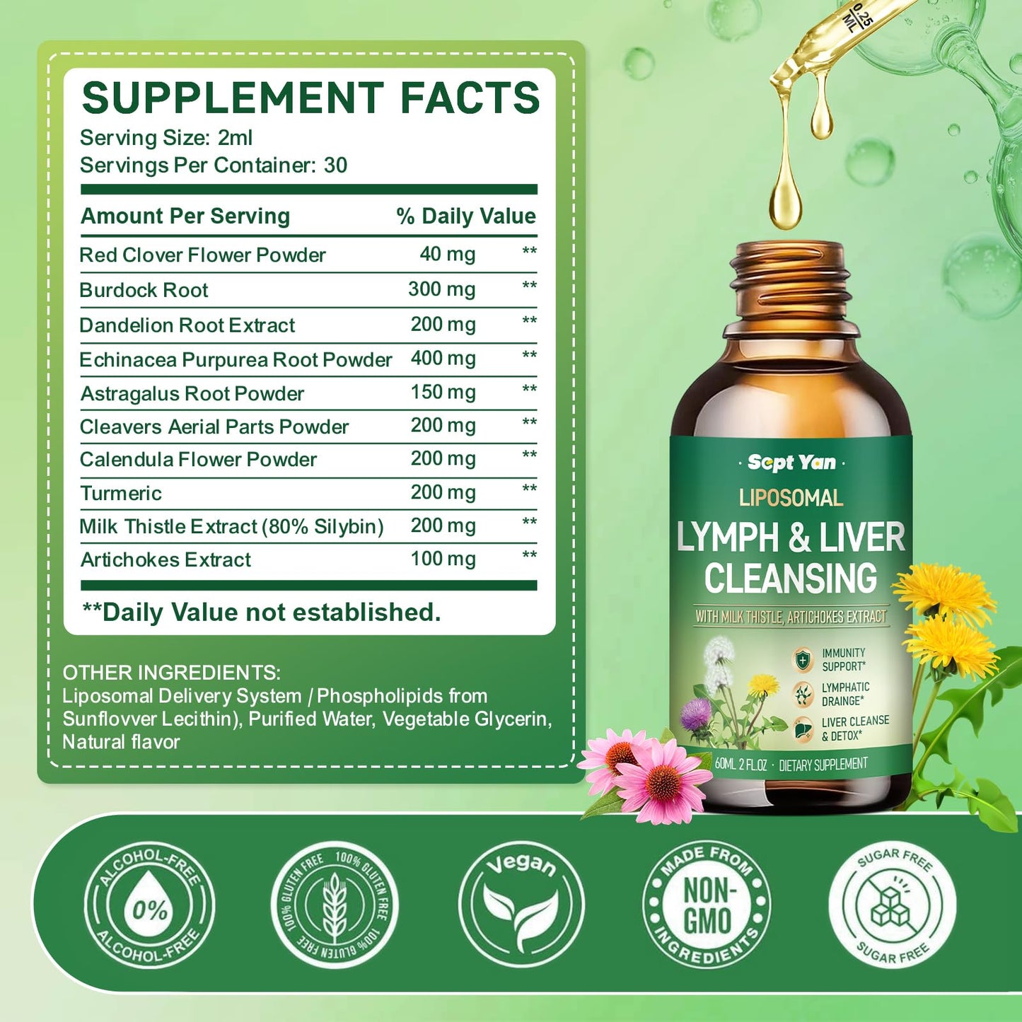 Liposomal Lymphatic Drainage Drops - Lymphatic Drainage Supplements with Milk Thistle, Burdock Root for Women & Men | Supports Liver Cleanse, Detox & Repair | Lymph - Liver Cleanse Health | 2 Fl Oz SEPT YAN buy supplements Au