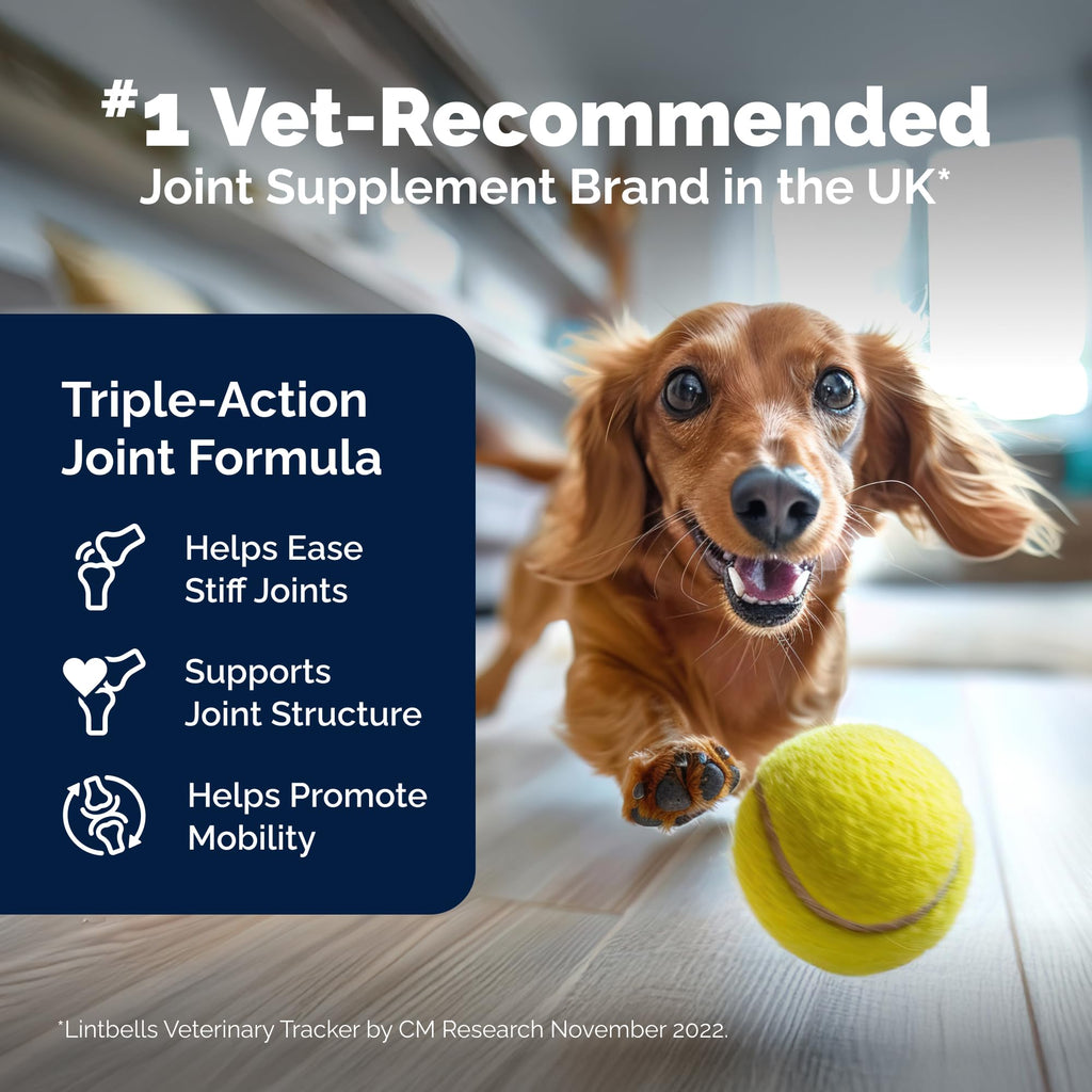 Yumove Hip & Joint Supplement for Dogs with Glucosamine, Hyaluronic Acid, Green Lipped Mussel & Omega 3 Joint Supplement - Regular or Advanced Strength (90 Count, Advanced Vet Strength Soft Chews) YuMOVEBuy Supplements Australia