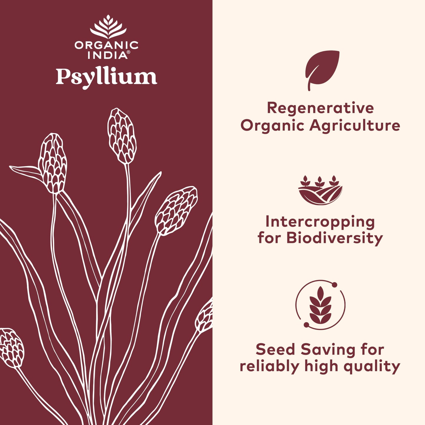 ORGANIC INDIA Psyllium Husk Capsules - Fiber Supplement, Healthy Elimination - Vegan, Keto Friendly, Gluten-Free, USDA Certified Organic, Non-GMO