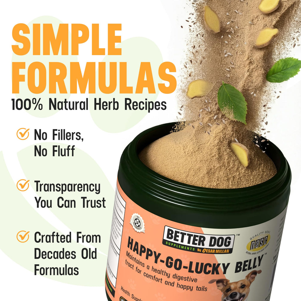 Better Dog Supplements Happy-Go-Lucky Belly by Cesar Millan - Natural Dog Digestive Support Powder – Dog Constipation Relief, Gut Balance & Regularity with Herbal Fiber for Dogs – 4oz (60-Day Supply) Better Dog Supplements By Cesar Millan buy supplements Au