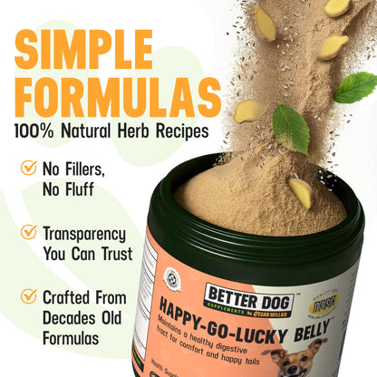 Better Dog Supplements Happy-Go-Lucky Belly by Cesar Millan - Natural Dog Digestive Support Powder – Dog Constipation Relief, Gut Balance & Regularity with Herbal Fiber for Dogs – 4oz (60-Day Supply) Better Dog Supplements By Cesar Millan buy supplements Au