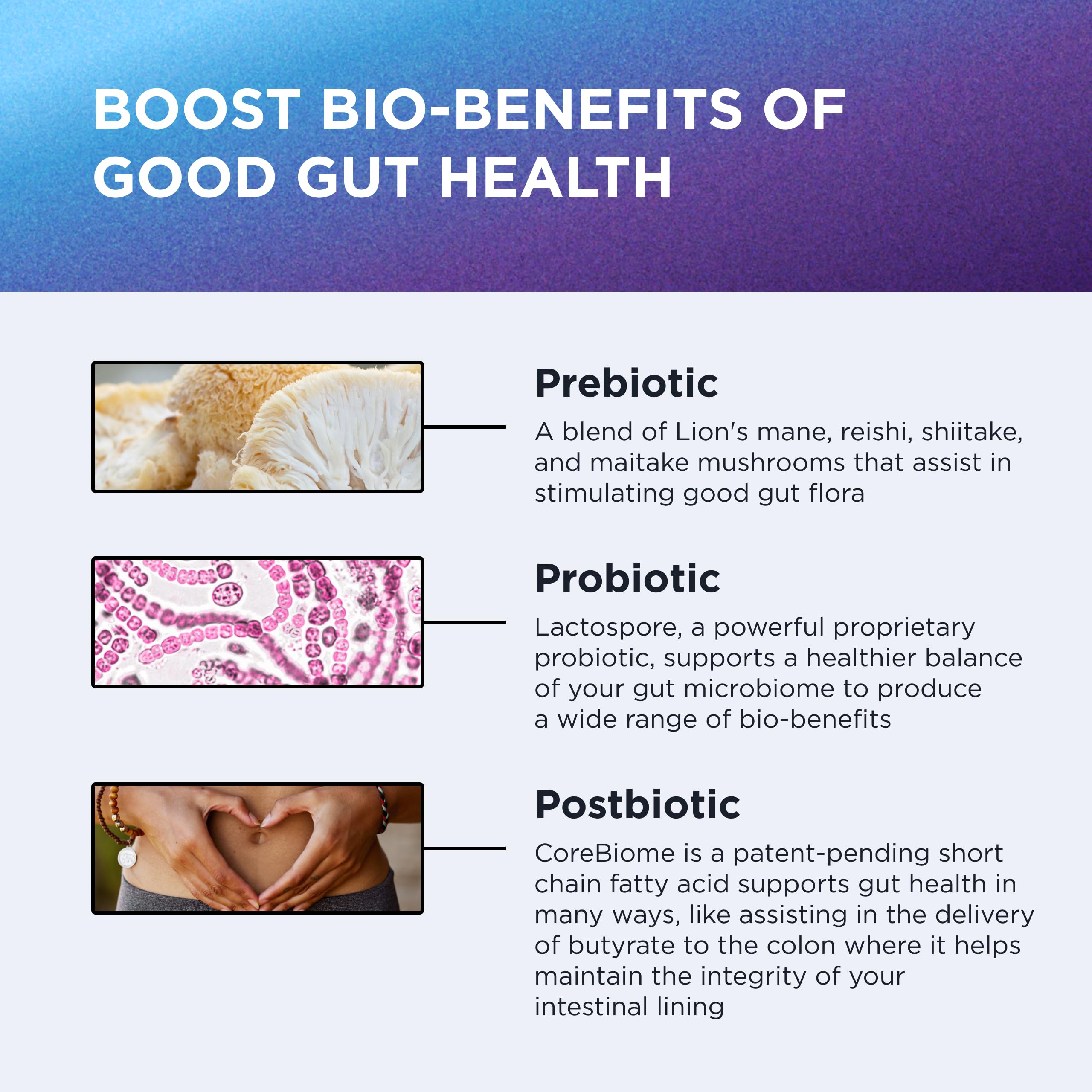 DR. EMIL NUTRITION Women & Men Total Gut Health Complex | Prebiotic + Probiotic + Postbiotic Gut Health Supplements