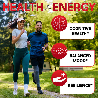 DEDICAD 9in1 Cortisol Supplement - Ashwagandha and Magnesium Glycinate and Chelate - Brain Health & Restful Night & Mood Balance - 90 Capsules Supply 45 Days DEDICAD buy supplements Au
