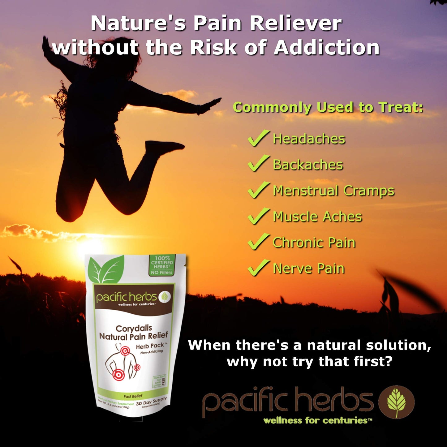 Pacific Herbs Corydalis Natural Pain Relief Herbs Pacific HerbsBuy Supplements Australia