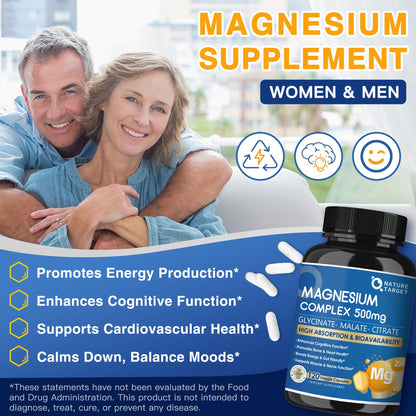 Magnesium Complex 500mg, Magnesium Glycinate, Malate & Citrate - High Absorption Chelated Triple Magnesium Supplement with Zinc, Vitamin D3 for Muscle, Nerve, Bone & Immune Support, Vegan 120 Capsules NATURE TARGET buy supplements Au