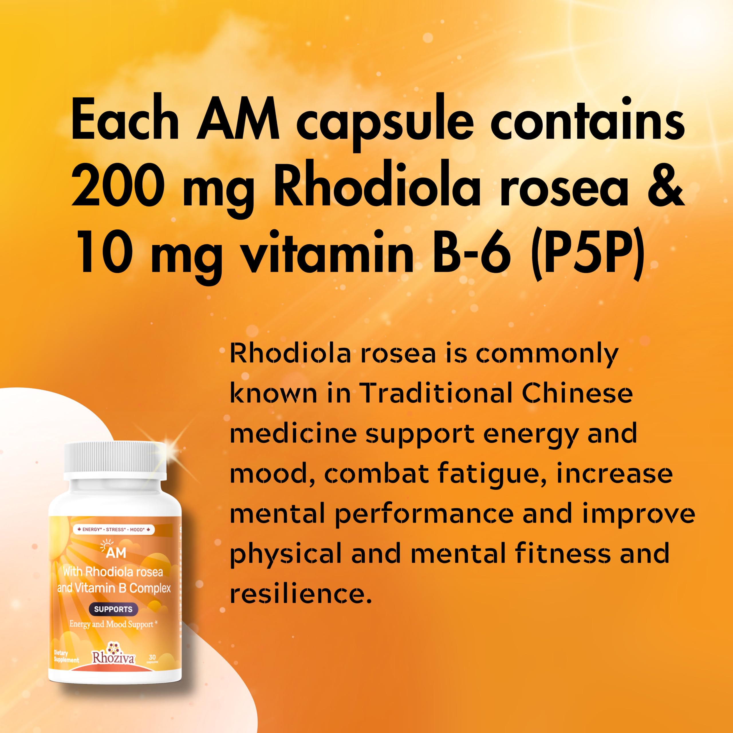 AM PM Multivitamin - Cortisol Supplements for Women and Men with L-Theanine, Ashwagandha - Rhodiola Rosea Supplement 200mg - Vitamin B Complex - Nootropics - Day and Night Vitamins for Women & Men RhozivaBuy Supplements Australia