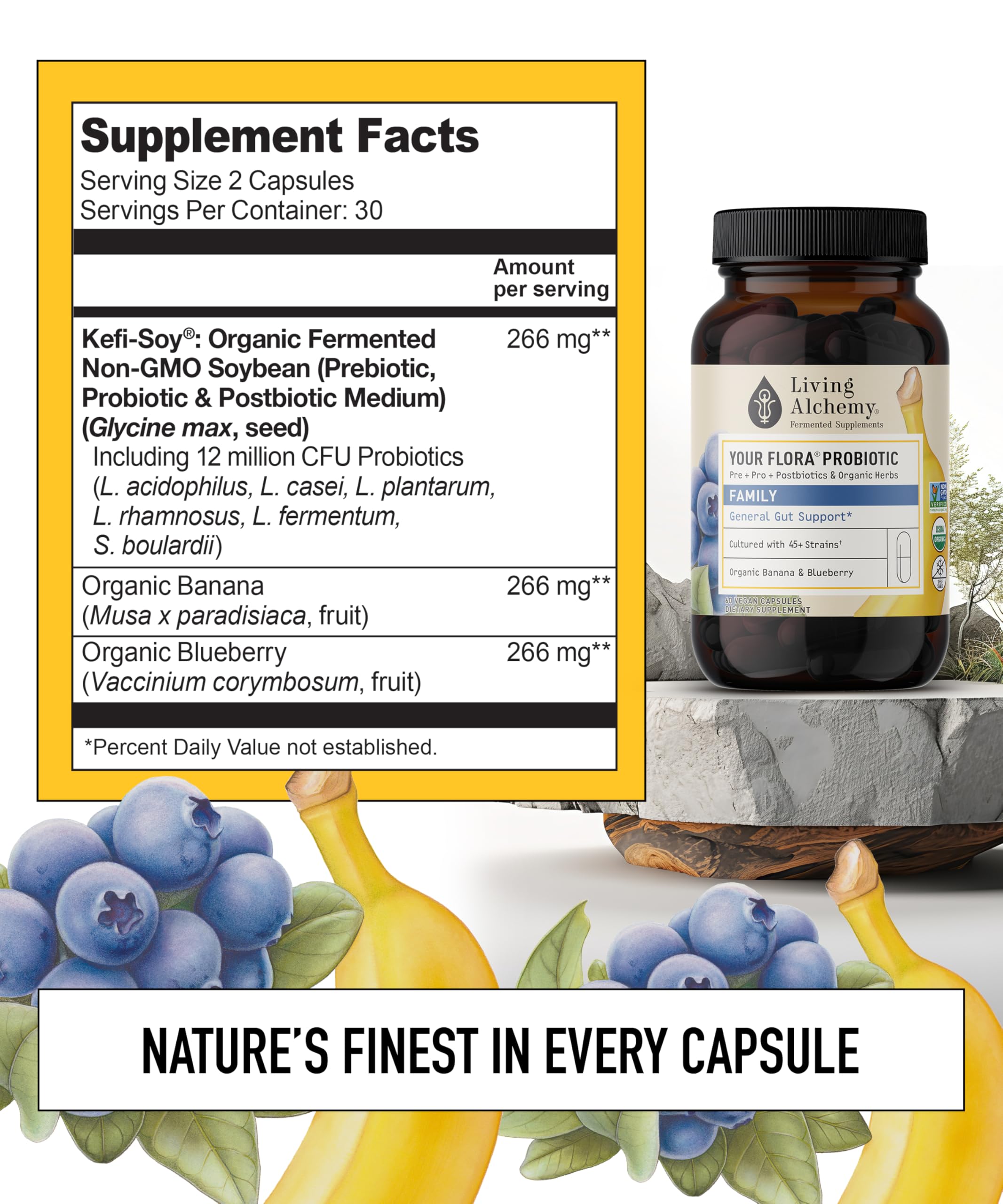 Your Flora Probiotic Family – Non-GMO Probiotics with Fermented Soybean, Banana, & Blueberry for Digestion & Gut Support – Prebiotics, Postbiotics, Digestive Enzymes – Living Alchemy, 60 Capsules Living Alchemy buy supplements Au