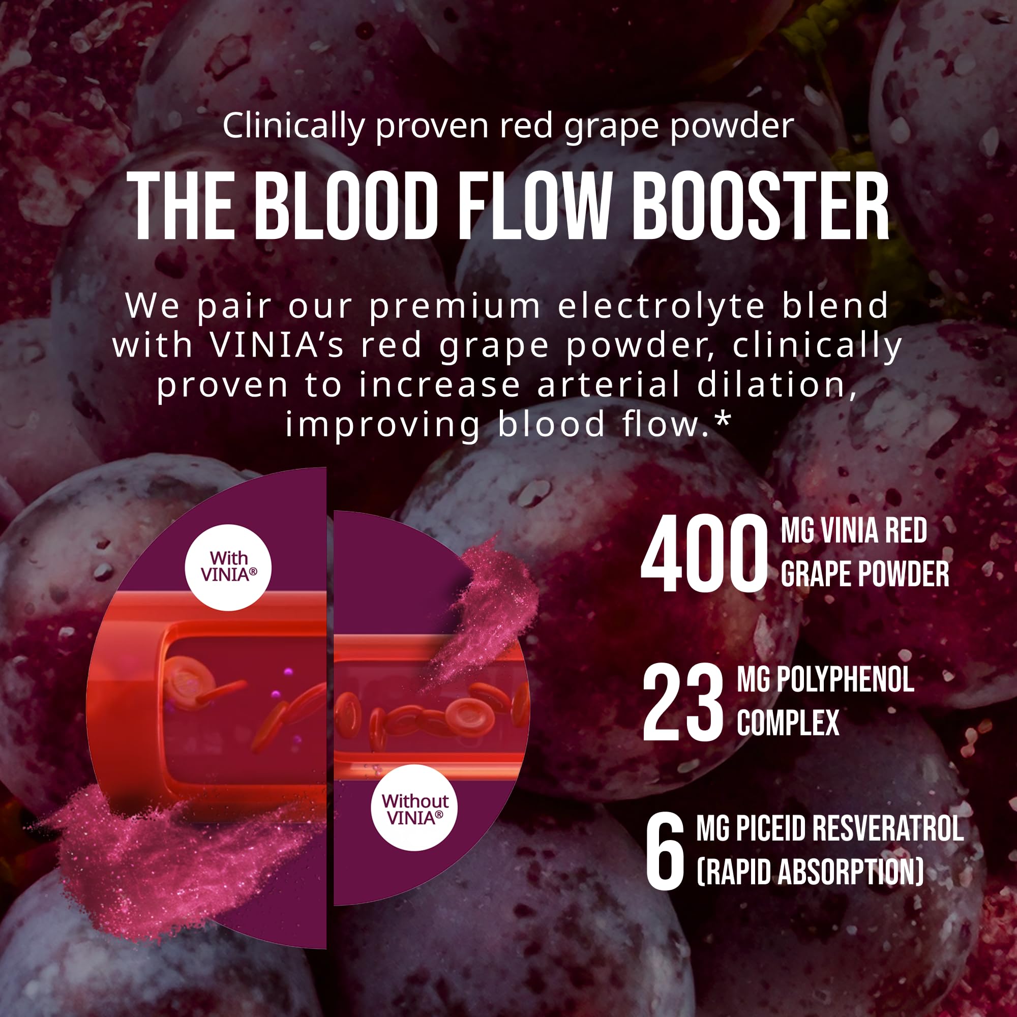 VINIA Resveratrol Electrolyte Hydration Powder Mix | Boost Blood Flow & Circulation | Sea Salt, Coconut Water Potassium, Magnesium, Informed Sport Certified VINIA buy supplements Au