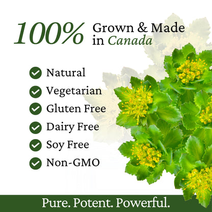 Immune Support, Energy Booster with Vitamin C, D3 and Zinc Supplement, Rhodiola Rosea, Reishi Mushroom Extract, Astragalus, Overall Wellness and Daily Habit - 60 Capsules Rhoziva buy supplements Au