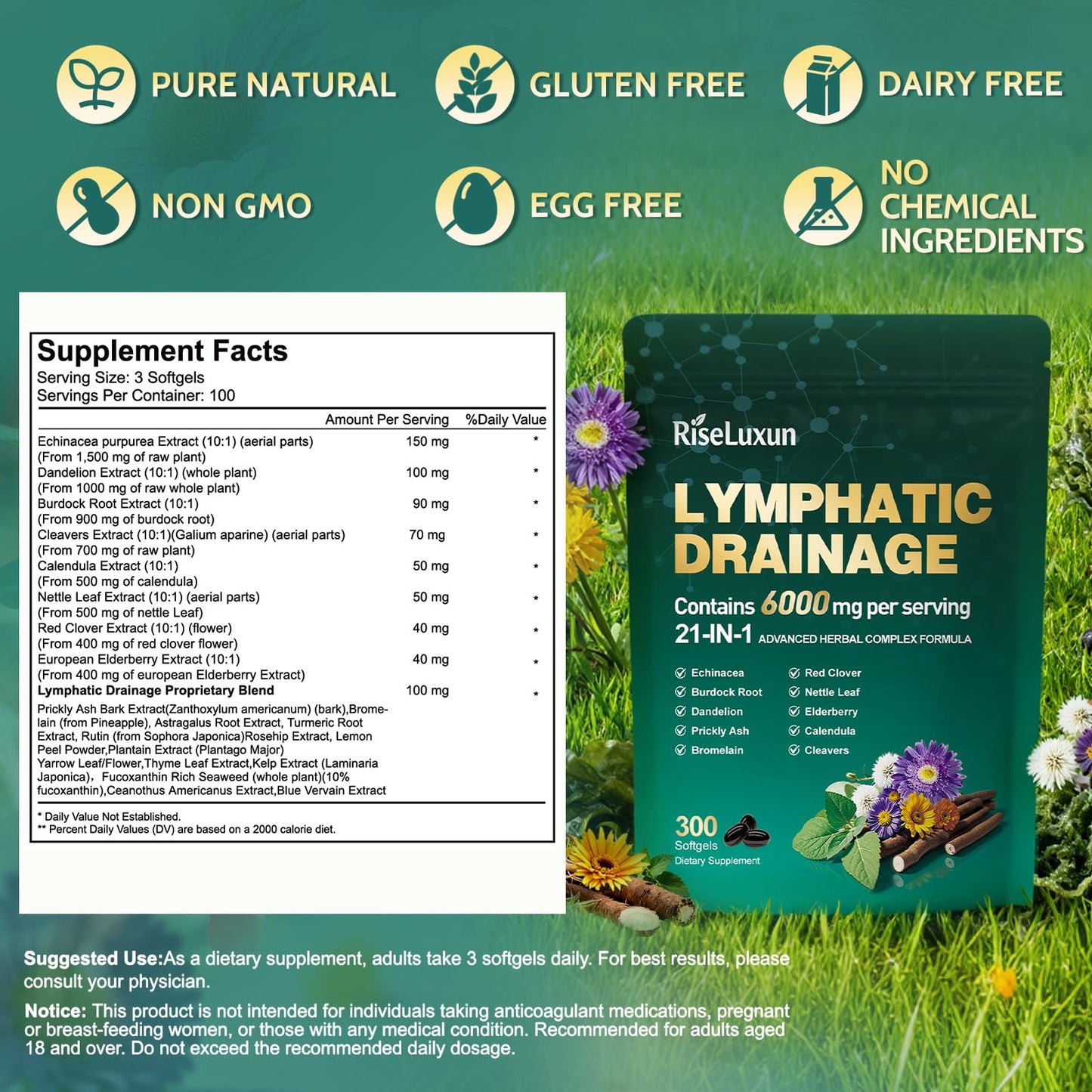 21-in-1 Liposomal Lymphatic Drainage Supplements, 100 Day Supply, 6000mg Lymph System Support for Women & Men with Echinacea, Dandelion, Burdock, Bromelain, Calendula, Turmeric & More, 300 Softgels RiseLuxun buy supplements Au