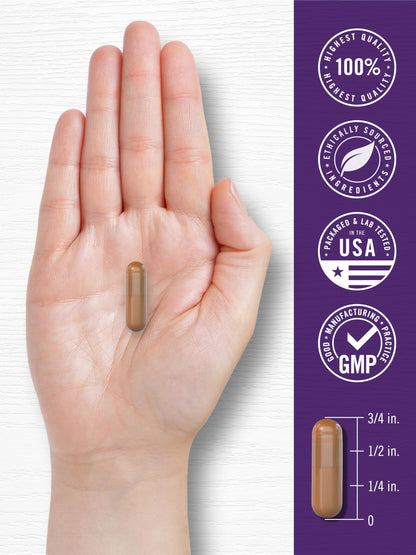 Carlyle Resveratrol Complex - 180 Capsules - Trans Resveratrol Supplement with Grape Seed Extract - Non GMO, Gluten Free