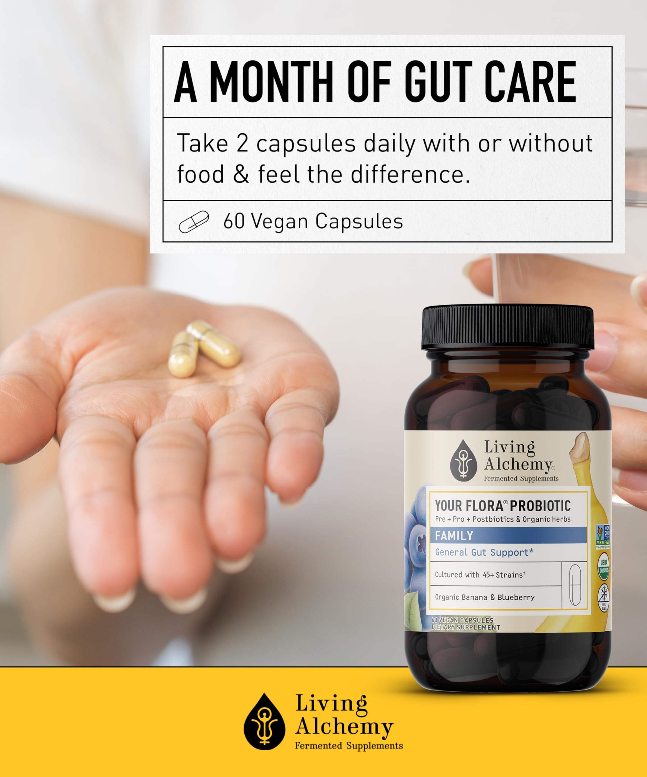 Your Flora Probiotic Family – Non-GMO Probiotics with Fermented Soybean, Banana, & Blueberry for Digestion & Gut Support – Prebiotics, Postbiotics, Digestive Enzymes – Living Alchemy, 60 Capsules Living Alchemy buy supplements Au