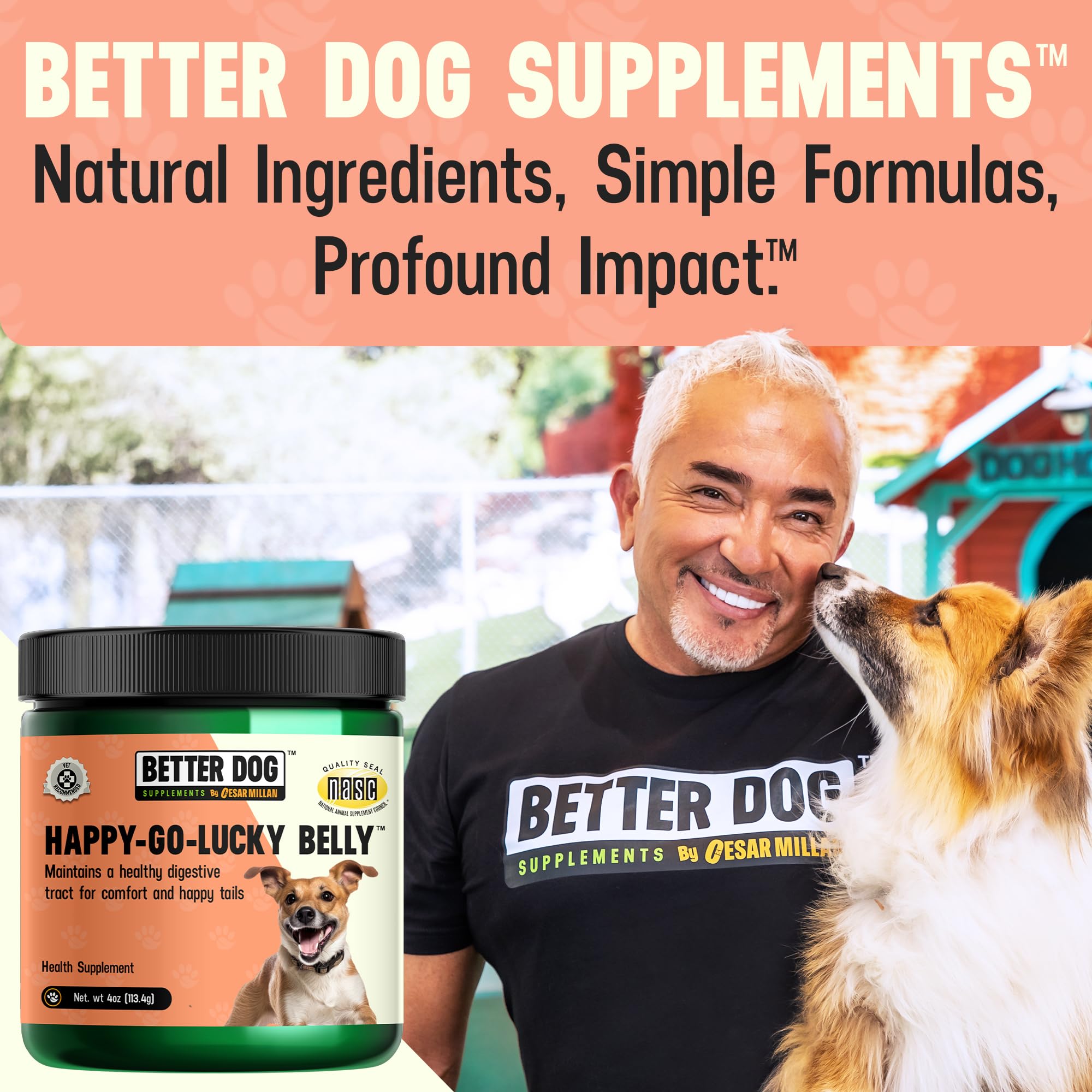 Better Dog Supplements Happy-Go-Lucky Belly by Cesar Millan - Natural Dog Digestive Support Powder – Dog Constipation Relief, Gut Balance & Regularity with Herbal Fiber for Dogs – 4oz (60-Day Supply) Better Dog Supplements By Cesar Millan buy supplements Au
