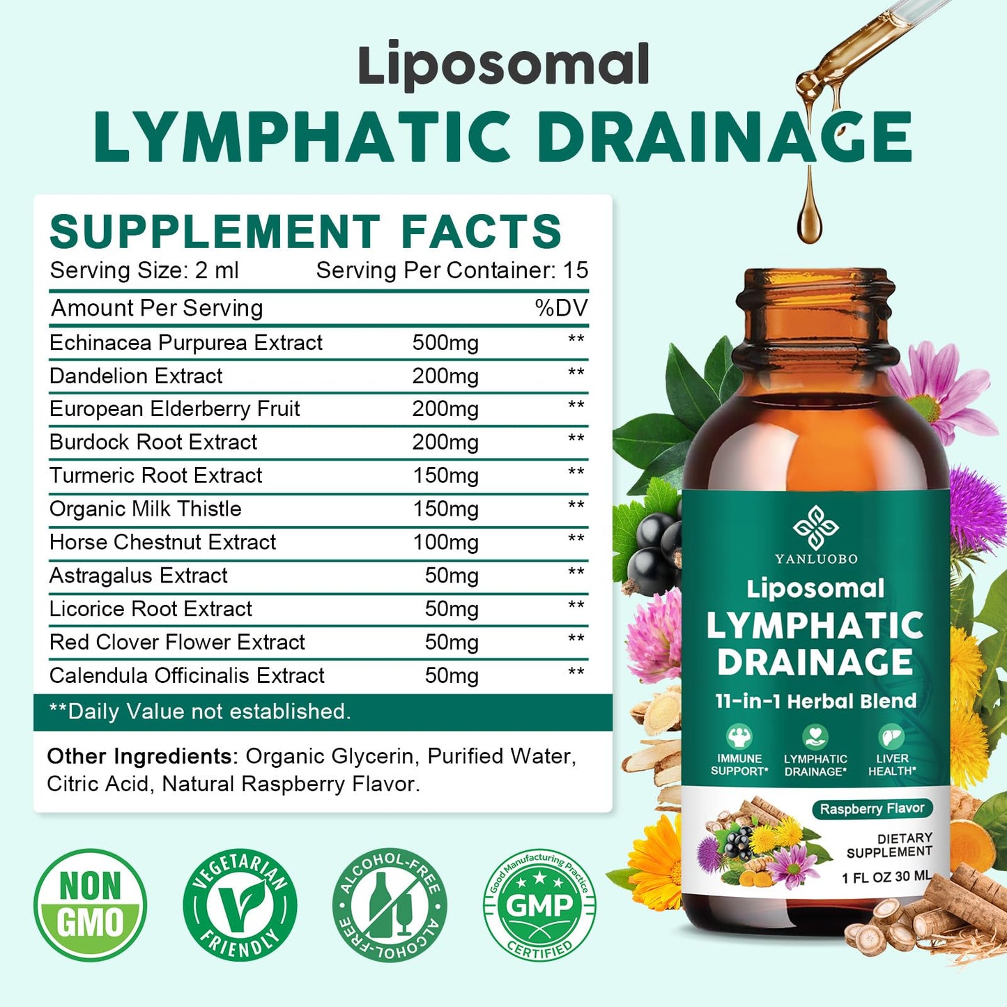 Lymphatic Drainage Drops - 11 in 1 Lymphatic Supplement for Immune, Lymph System & Liver Detox - with Echinacea, Horse Chestnut, Dandelion, Elderberry & Burdock - Raspberry Flavor, Vegan, 2 Fl Oz YANLUOBO buy supplements Au