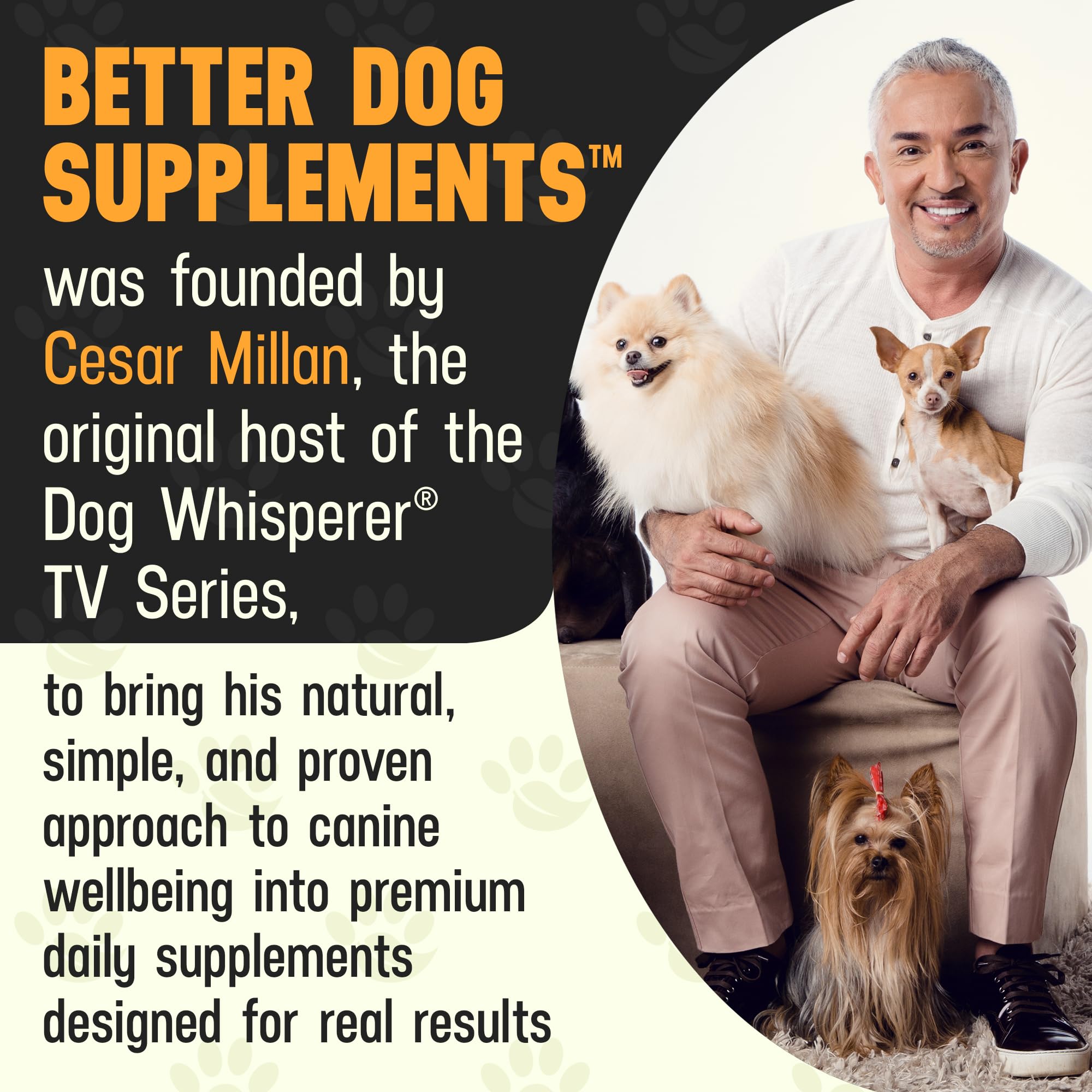 Better Dog Supplements Happy-Go-Lucky Belly by Cesar Millan - Natural Dog Digestive Support Powder – Dog Constipation Relief, Gut Balance & Regularity with Herbal Fiber for Dogs – 4oz (60-Day Supply) Better Dog Supplements By Cesar Millan buy supplements Au