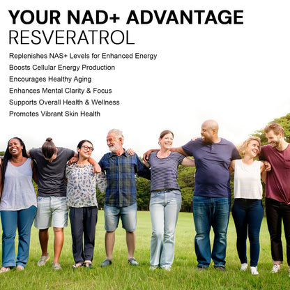 NAD+ Resveratrol Supplement with Quercetin – NMN Alternative for Cellular Energy Support, Focus & Healthy Aging – High Potency 500mg NAD+ Formula, Vegan, Non-GMO, Gluten-Free, Made in USA, 60 Capsules Active Bounty buy supplements Au