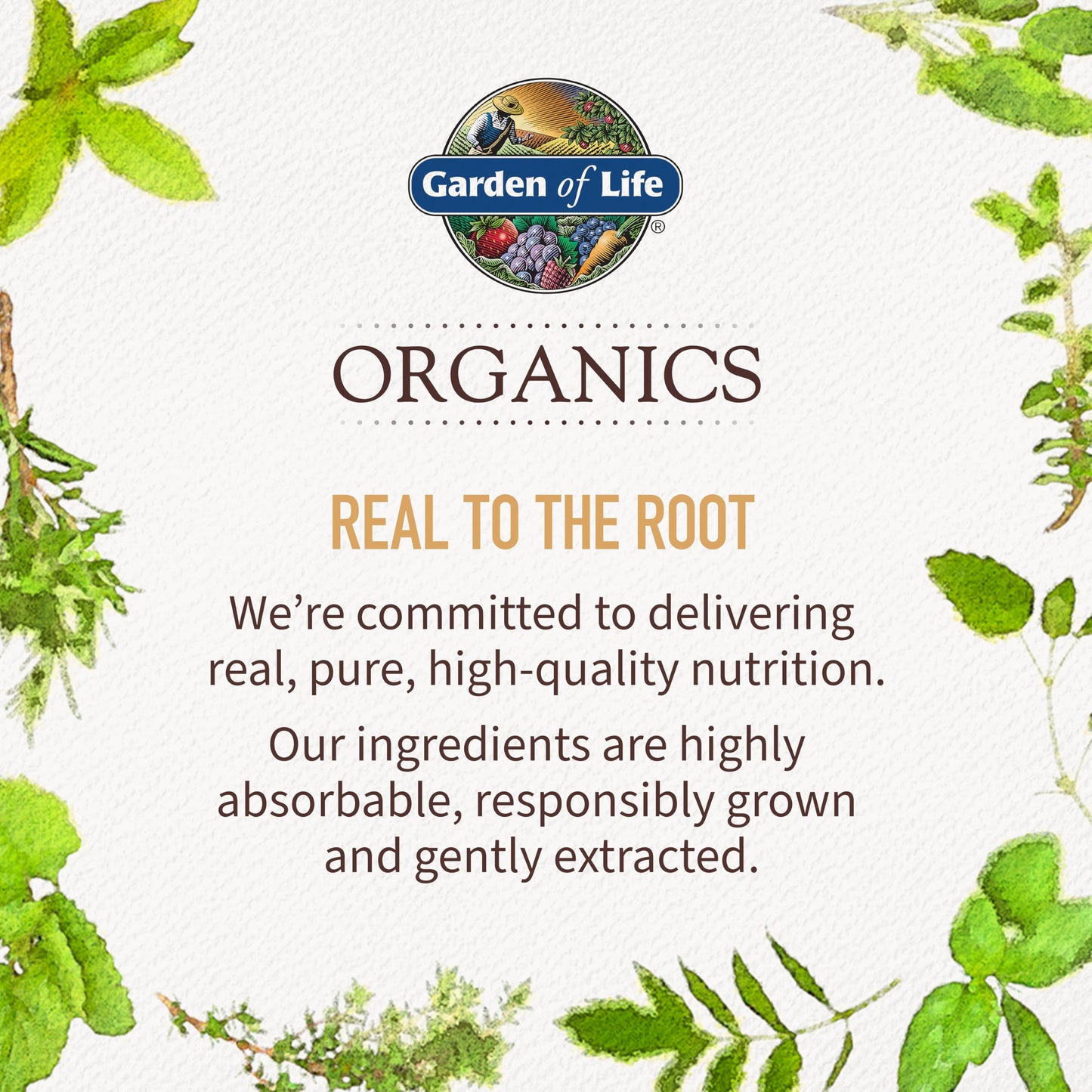 Garden of Life Organics Golden Milk Recovery & Nourishment Powder - 44mg Turmeric Curcumin (95% Curcuminoids), Ashwagandha - Organic Non-GMO Vegan & Gluten