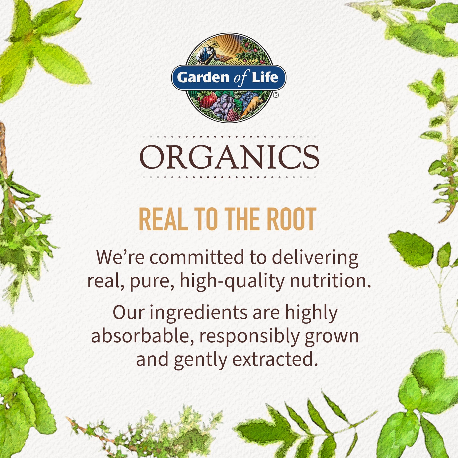 Garden of Life Organics Extra Strength Turmeric Inflammatory Response 120 Tablets-100Mg Curcumin (95% Curcuminoids) Black Pepper, Probiotics, Organic Non-GMO Vegan Gluten Free Herbal Supplement Garden of LifeBuy Supplements Australia