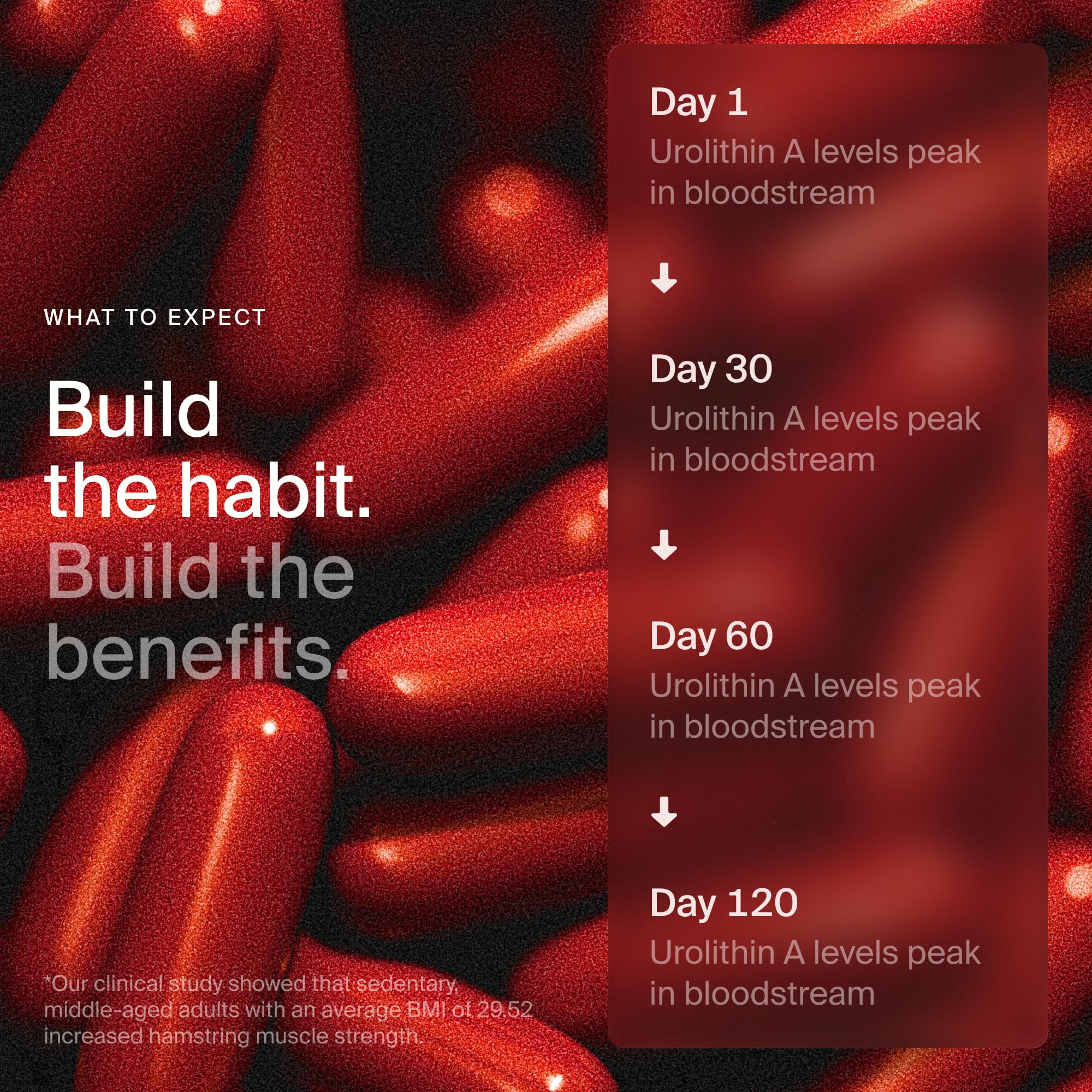 Timeline Mitopure Urolithin A Supplement Softgels - Clinically Proven Support for Healthy Aging and Cellular Renewal