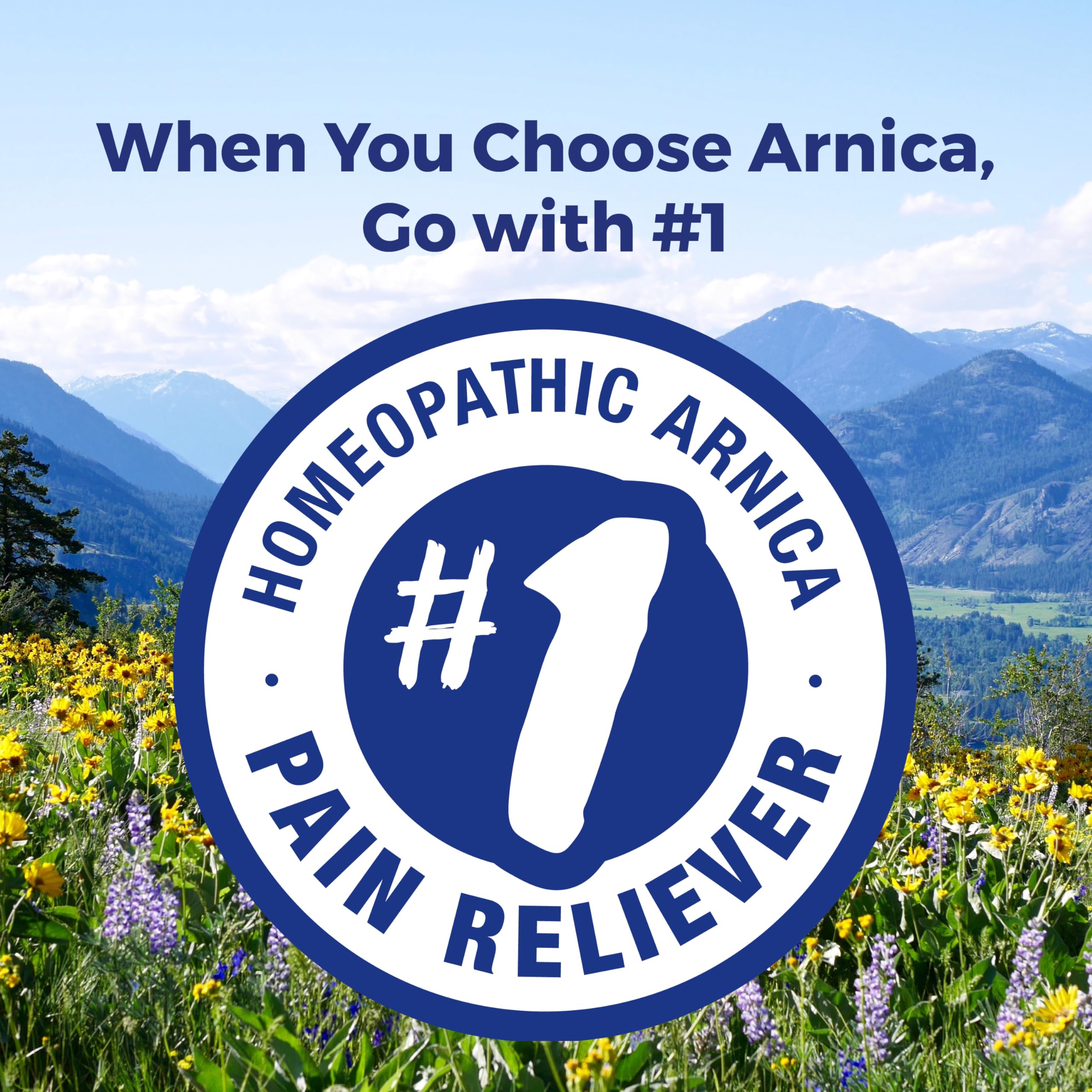 Boiron Arnica Montana 30X Homeopathic Medicine for Relief from Muscle Pain, Muscle Stiffness, Swelling from Injury, and Discoloration from Bruises - 3 Count (240 Pellets) BoironBuy Supplements Australia