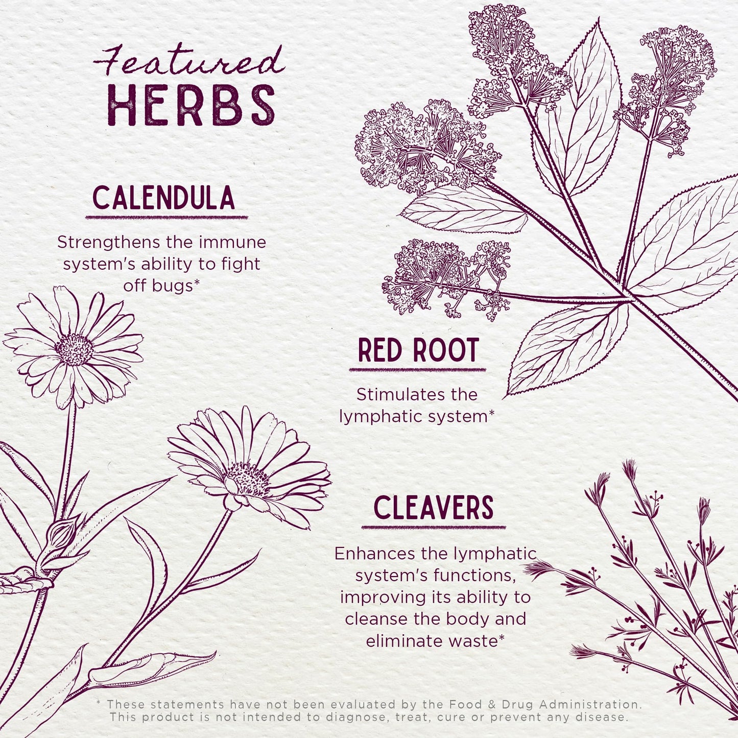 WishGarden Herbs Lymph Mover - Organic Lymphatic Drainage Drops with Echinacea, Cleavers & Red Root - Immune Support Supplement, Lymph System Support - Liquid Herbal Tincture, Gluten-Free, Vegan, 2oz WishGarden buy supplements Au