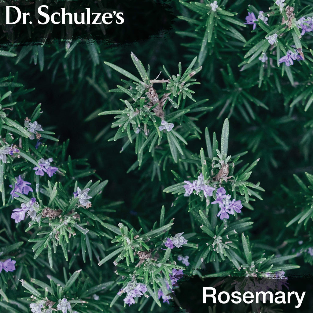 Dr. Schulze's Brain Formula 2 oz. - Vegan and Wild-Harvested | Stimulates Circulation and and Improved Mental Focus Dr. Schulze'sBuy Supplements Australia